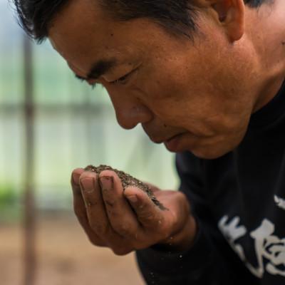 ふるさと納税 南魚沼市 令和7年産 南魚沼産 笠原農園米 ミルキークイーン 精米5kg |  | 01