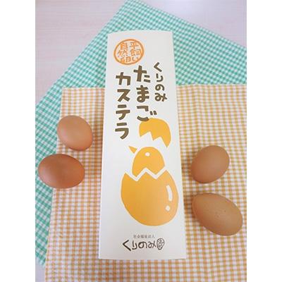 ふるさと納税 長野市 くりのみ園のカステラ(2本入)