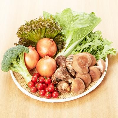 ふるさと納税 岸和田市 旬の農産物詰め合わせ[6〜8種]