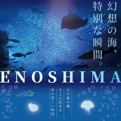 ふるさと納税 藤沢市 新江ノ島水族館　年間パスポート引換券　大人 1枚 |  | 02