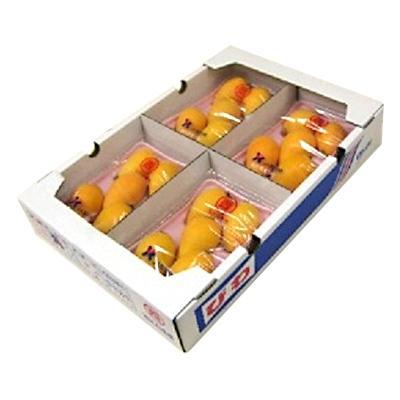 ふるさと納税 高松市 【先行受付2027年】露地びわ(品種おまかせ)　約1kg (約250g×4パック) |  | 01