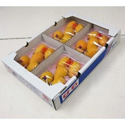 ふるさと納税 高松市 【数量限定2000セット・2027年5〜7月発送】びわの食べ比べセット　約2kg |  | 01