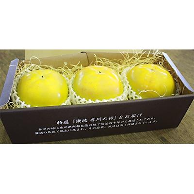ふるさと納税 高松市 [限定企画3000セット・2026年9〜10月発送]厳選大玉 太秋柿化粧箱 約800g