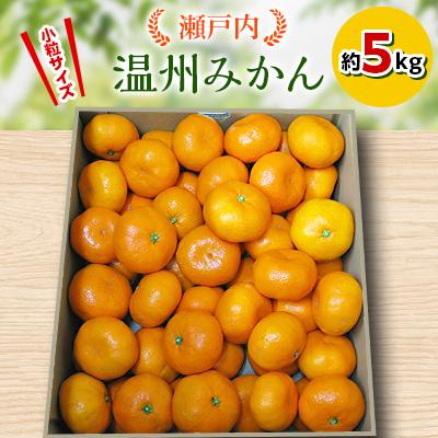 ふるさと納税 高松市 [先行受付2026年]瀬戸内温州みかん 小粒サイズ 約5kg[2026年10月〜2027年1月発送]