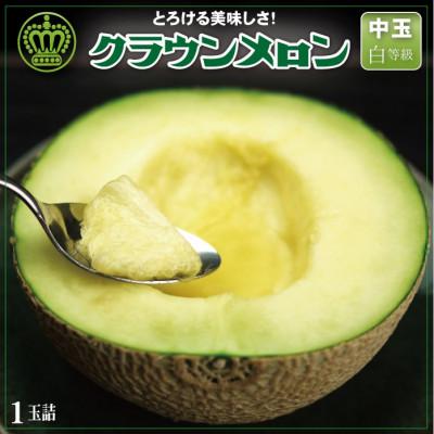 ふるさと納税 掛川市 [一年中食べられる!]クラウンメロン (白等級) 中玉 1玉 静岡県産 高級 マスクメロン
