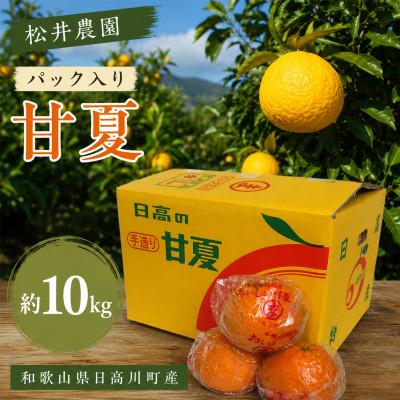 ふるさと納税 日高川町 [2027年4月発送]甘夏 約10kg(サイズ混合) 和歌山県日高川町産