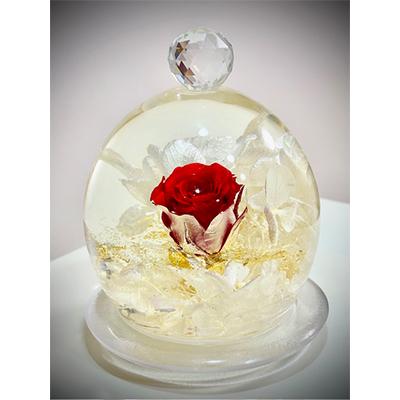 ふるさと納税 田原本町 クリスタルドーム「真実の愛・赤い薔薇」