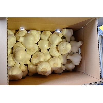 ふるさと納税 高松市 【先行受付2027年】乾燥にんにく　約1kg(高松市) |  | 02