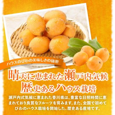 ふるさと納税 高松市 【先行受付2027年】ハウスびわ　約1kg |  | 01