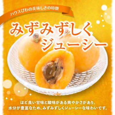 ふるさと納税 高松市 【先行受付2027年】ハウスびわ化粧箱　約500g |  | 02