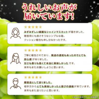ふるさと納税 山梨市 2027年(来年)発送 フルーツ王国山梨 シャインマスカット 2房 (1.2kg以上) プレミアム |  | 03