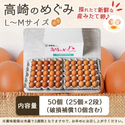 ふるさと納税 都城市 アスタキサンチン入り赤卵「高崎のめぐみ」50個 |  | 03