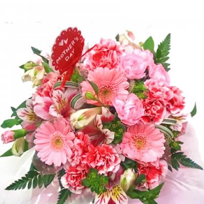 ふるさと納税 藤枝市 [母の日に!]カーネーションアレンジメント ピンク系