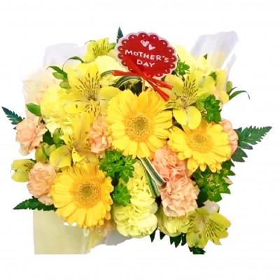 ふるさと納税 藤枝市 [母の日に!]カーネーションアレンジメント イエロー系