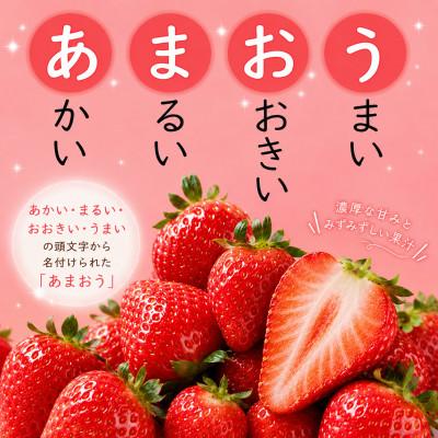 ふるさと納税 太宰府市 【2027年発送先行受付】【太宰府】フルーツ専門