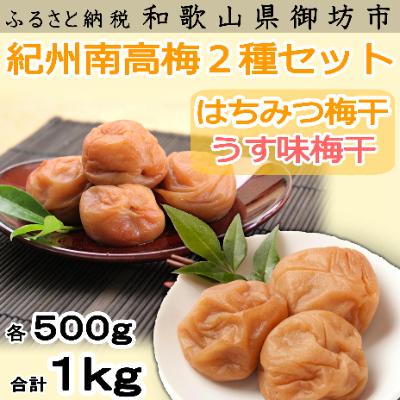 ふるさと納税 御坊市 紀州南高梅 はちみつ500g・うす味梅500g 食べ比べセット