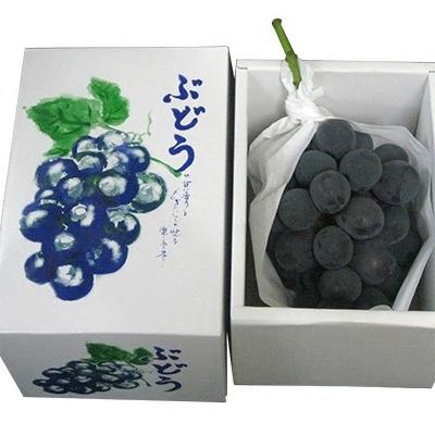 ふるさと納税 高松市 【先行受付2027年】ご家庭用ピオーネ　約1.5kg |  | 01