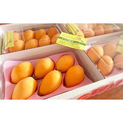 ふるさと納税 須崎市 ヤマデ農園びわ4パック