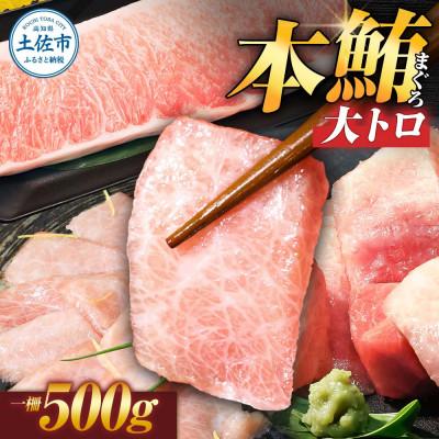 ふるさと納税 土佐市 本鮪(本マグロ) 大トロ 500g