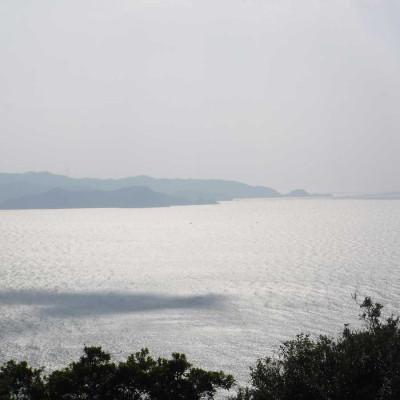 ふるさと納税 湯浅町 先行受付【ご家庭用】和歌山有田みかん5kg(S、Mサイズいずれか)【湯浅町】 |  | 02