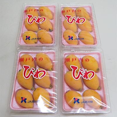 ふるさと納税 さぬき市 香川のびわ「なつたより」 約1kg