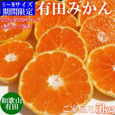 ふるさと納税 美浜町 先行受付[ご家庭用]和歌山有田みかん5kg(S、Mサイズ)[美浜町]