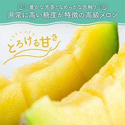 ふるさと納税 御坊市 農園自慢の『マスクメロン』大玉×2玉 |  | 01