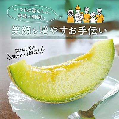 ふるさと納税 御坊市 農園自慢の『マスクメロン』大玉×2玉 |  | 02