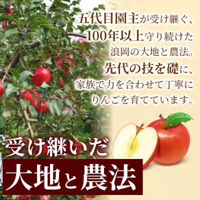 ふるさと納税 青森市 【甘くてシャキシャキ】 りんご シナノスイート 家庭用 約3kg (約9〜12個)  青森市 |  | 02