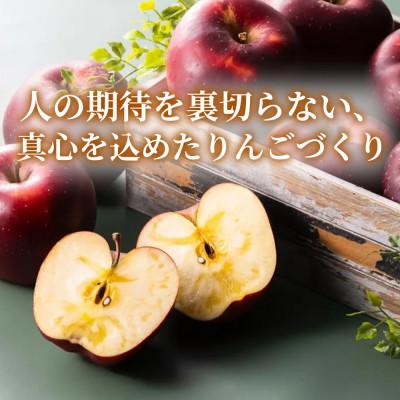 ふるさと納税 青森市 【甘くてシャキシャキ】 りんご シナノスイート 家庭用 約3kg (約9〜12個)  青森市 |  | 03