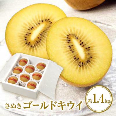 ふるさと納税 高松市 [先行受付2025年]さぬきゴールドキウイ化粧箱 約1.4kg