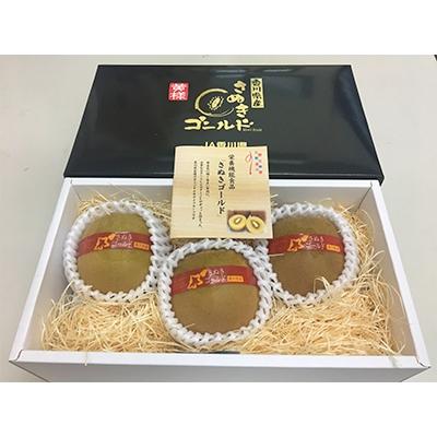 ふるさと納税 高松市 [数量限定500セット]さぬきゴールドキウイ化粧箱(大玉) 約600g
