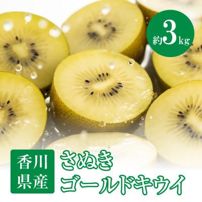 ふるさと納税 高松市 [先行受付2025年]さぬきゴールドキウイ 約3kg