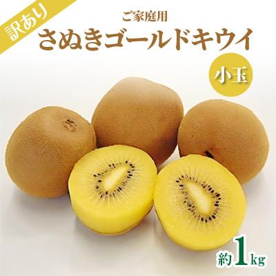 ふるさと納税 高松市 ご家庭用さぬきゴールドキウイ 約1kg