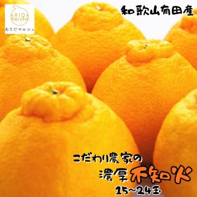 ふるさと納税 湯浅町 ≪先行予約 2027年2月〜発送≫こだわり農家の濃厚
