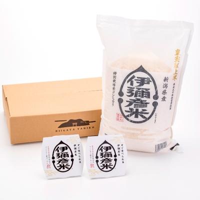 ふるさと納税 弥彦村 [伊彌彦米とパックごはんセット]精米5kg×1袋 パックごはん2パック ブランド米 新潟県 弥彦村