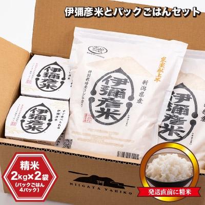 ふるさと納税 弥彦村 [伊彌彦米とパックごはんセット]精米2kg×2袋 パックごはん4パック ブランド米 新潟県 弥彦村