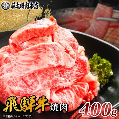 ふるさと納税 養老町 【飛騨牛】切り落し焼肉用 400g 岐阜県産 黒毛和牛 | 