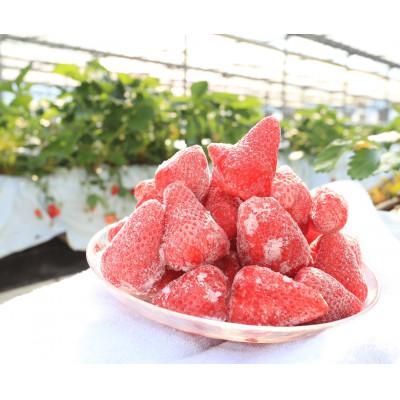 ふるさと納税 島田市 「ありすふぁーむの渡瀬のきらぴ香」完熟冷凍いちご約1kg |  | 01