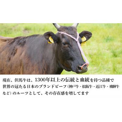 ふるさと納税 新温泉町 但馬牛　バラすき焼き用　500g |  | 02