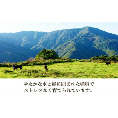 ふるさと納税 新温泉町 但馬牛　バラすき焼き用　500g |  | 03