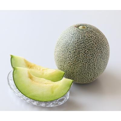 ふるさと納税 田原市 JA愛知みなみがお届けするタカミメロン4〜6玉