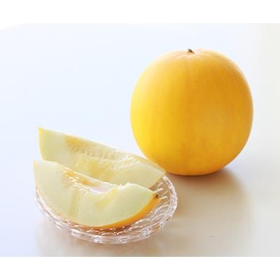ふるさと納税 田原市 JA愛知みなみがお届けするイエローキングメロン4〜6玉