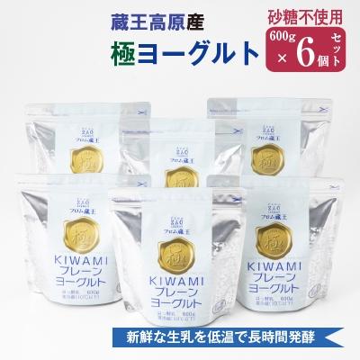 ふるさと納税 白石市 フロム蔵王 極プレーンヨーグルトセット(600g×6個)