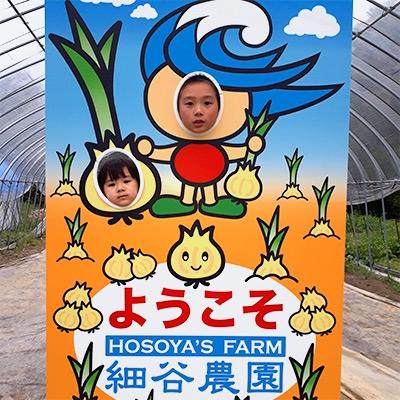 ふるさと納税 白子町 [先行受付]千葉県 白子産たまねぎ狩り体験(1グループ10kg)