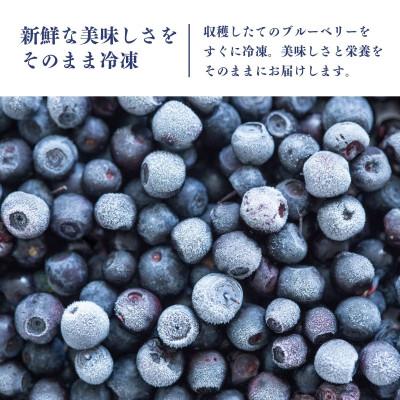 ふるさと納税 かすみがうら市 冷凍ブルーベリー1kg(500g×2パック) |  | 01
