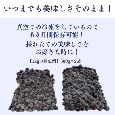 ふるさと納税 かすみがうら市 冷凍ブルーベリー1kg(500g×2パック) |  | 03