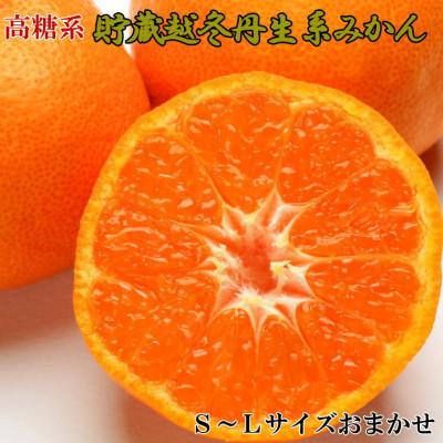 ふるさと納税 湯浅町 [高糖系]貯蔵越冬丹生系みかん約5kg(S〜Lサイズおまかせ)(湯浅町)
