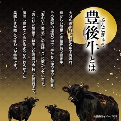 ふるさと納税 日出町 豊後牛 牛肉の切り落とし (900g) ギフトにもおすすめ! |  | 01