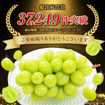 ふるさと納税 山梨市 2026年発送 フルーツ王国山梨産厳選 シャインマスカット   2房 (1kg以上) |  | 01